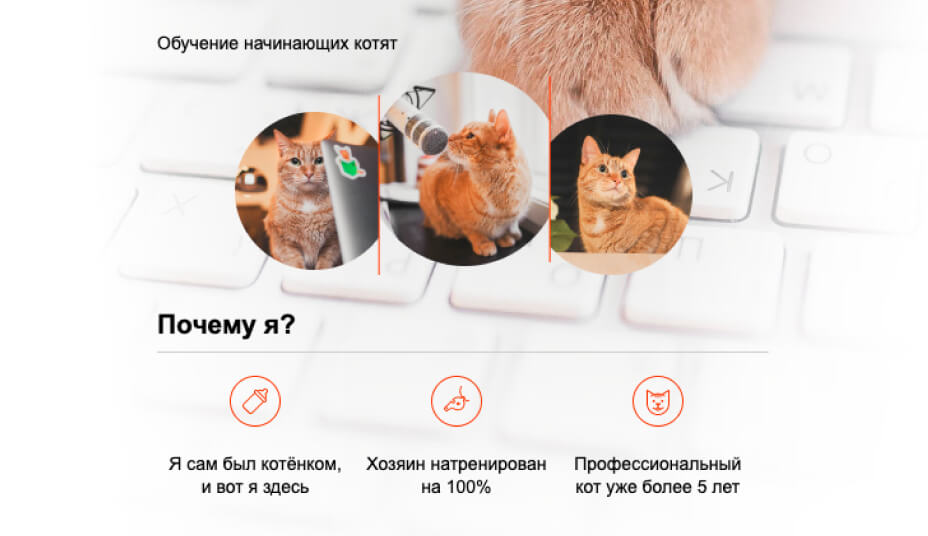 Cайт инструктора Кекса